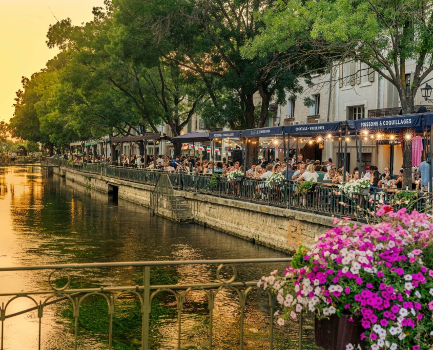 Des cafés en plein air bordent la promenade au bord de la rivière au coucher du soleil près du Dolce by Wyndham Versailles | Domaine du Montcel, avec des dîneurs sous les arbres. Le canal reflète une lumière dorée, tandis que des fleurs roses et blanches égayent une balustrade au premier plan.