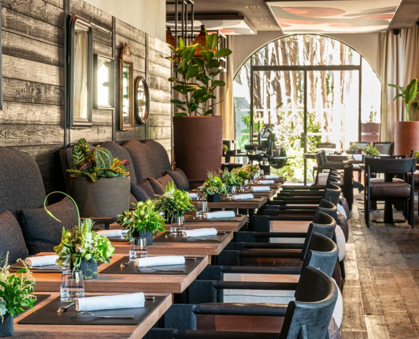 L'intérieur élégant du restaurant Dolce by Wyndham Versailles présente des tables en bois garnies de verres, de serviettes de table et de centres de table en fleurs vertes. Des chaises noires rembourrées bordent les tables, tandis que de grandes fenêtres éclairent l'espace du Domaine du Montcel d'une lumière naturelle et de plantes en pot luxuriantes.